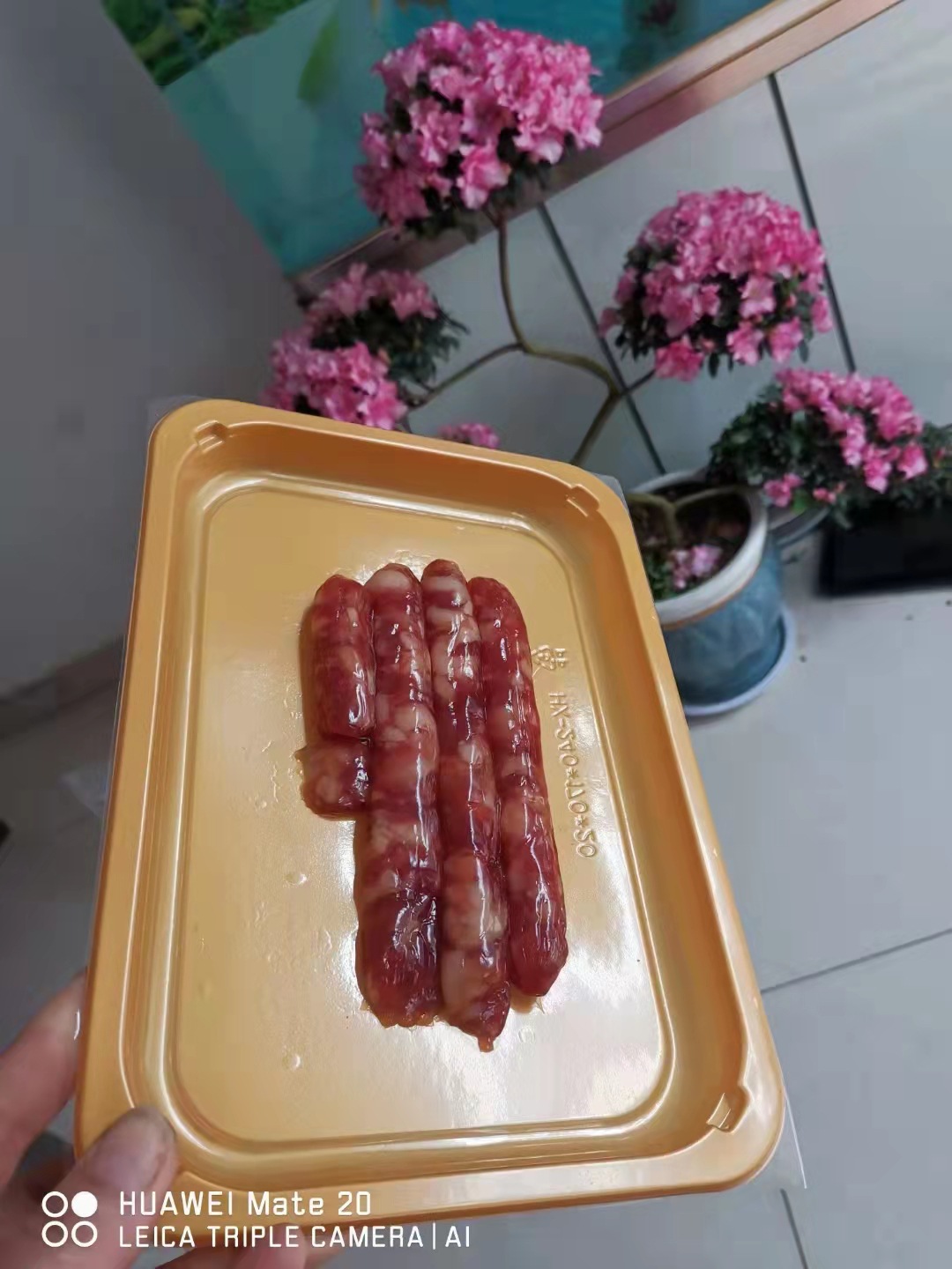 f1000d993a055307e031837105e863