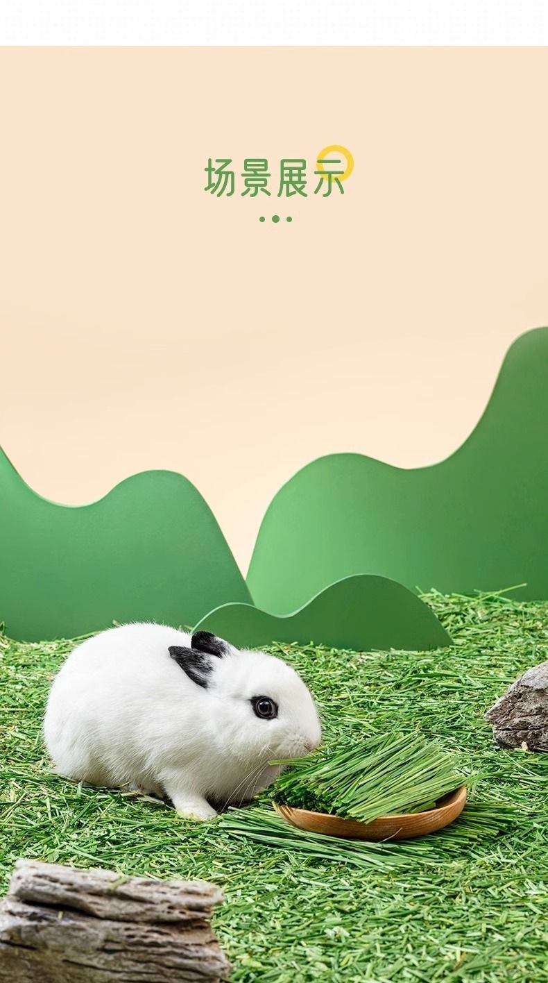 fc1d1b37-4f4d-4791-bddc-c3758f17fde2.jpe