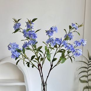 �¿�����L֦ѩ�m�����滨�ٻ������s�Ҿӿ͏d�bӰ巿�[������