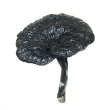 `֥250500˼Ұ`֥ɽ֦֥ϳ`֥^`֥