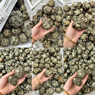 ���F�V�����Y�ˠ��S�F�V�S�����l�羳ֱ��