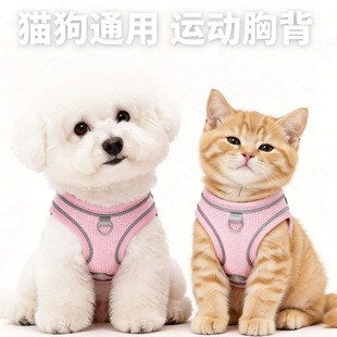 �羳������KС��Ȯ����ʽ�����ر������޹��K����͸��؈�䱳��