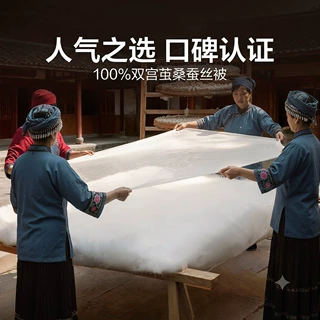 华丝居蚕丝被100全棉提花夏被空调被春秋双宫茧桑蚕丝被芯丝绵被