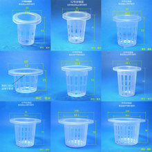 ��ֲ�@ �o������ ˮ�� ˮ�� �߲˻��ܶ�ֲ�Nֲ�@�� �̸���