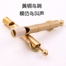 �B���B�ј������B�����S�~�񹝽����������������ڃ�ͯģ��С�B��