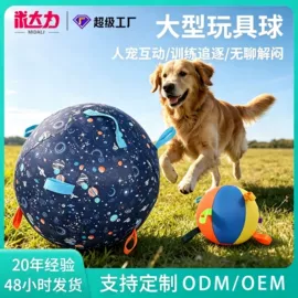 伊丽莎白圈;宠物项圈;狗狗清洁