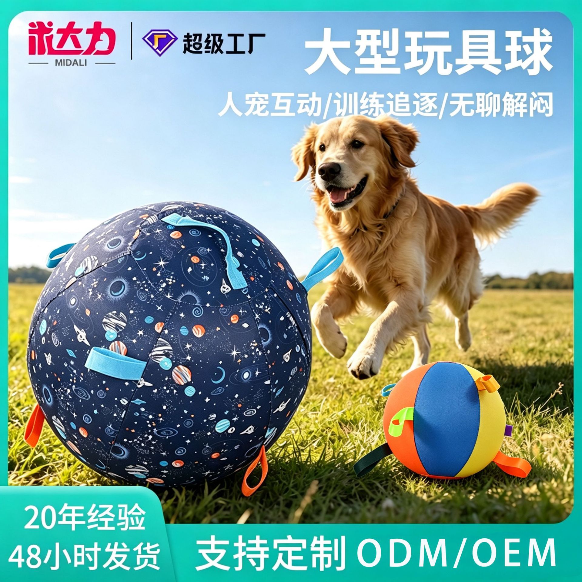 interactive travel wear-resistant toy