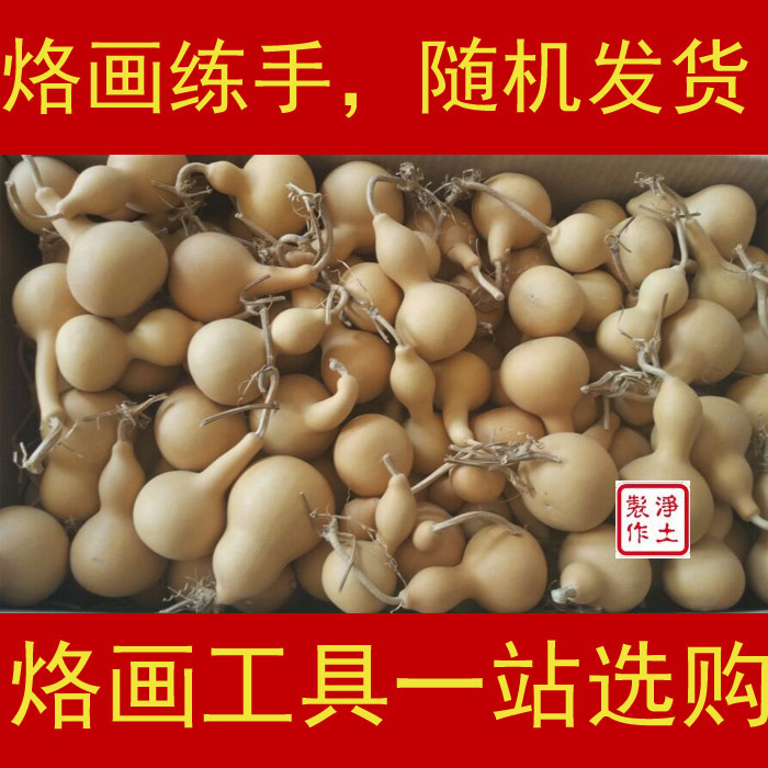 手绘diy手工制作木片烙画木板椴木板 烙画 押花练习用小葫芦