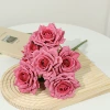 7 head curls rose