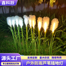 ͥԺJȔ؟ƺPVC^bՇȔͥԺ