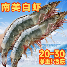 ���r�r���ش�̖��϶ࠖ�}�����r���rˮ�a�ك�������r���r���l