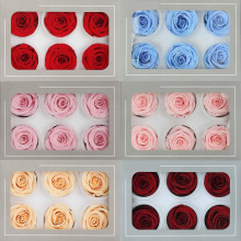 5-6CM����õ�廨�Y�в�������������������耳׿�܇�컨�ı��r��