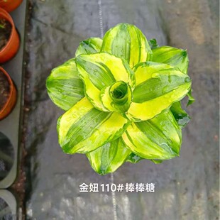 ����������҃ȿ͏d�k������������ֲ���ļ����˘�Ҳ�T�F������