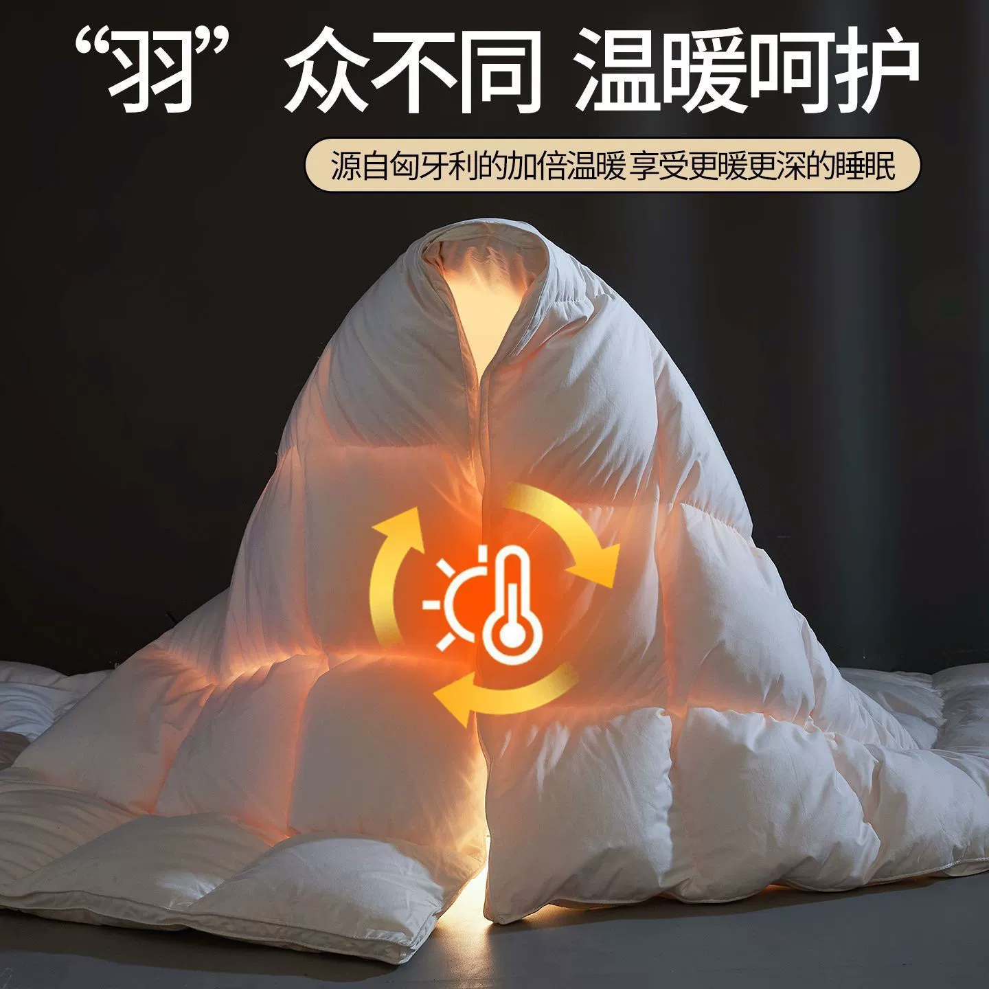 Import keep warm duvet with down