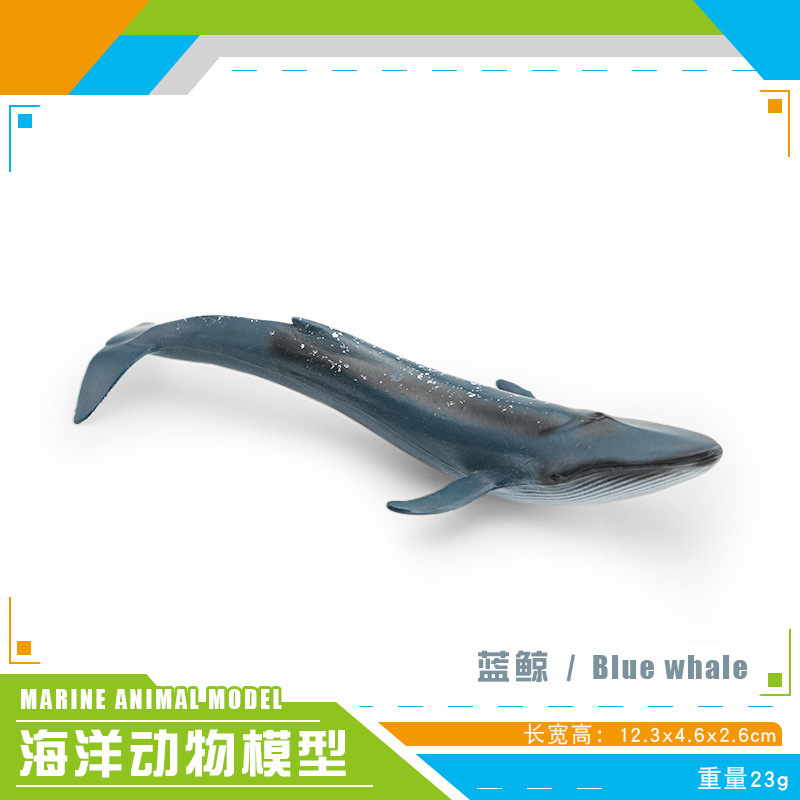 Simulación transfronteriza modelo de animales marinos cognitivo infantil tiburón ballena azul calamar ballena jorobada delfín decoración estática