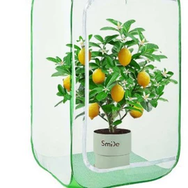 晾晒篮/绳;脏衣篮;狗狗窝/笼/垫