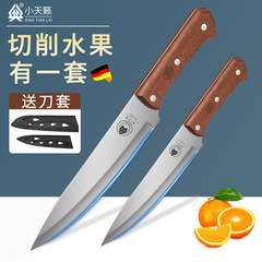 外国貿易の卸売りのステンレスの果物の刀の寮の家庭用の皮むきの刀はスイカの台所の刃物を切って料理を切ります。