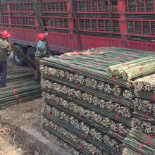 ��Ͳˈ@������ӑ�����U�S�϶������ٲ˼���U֧��������ܗU