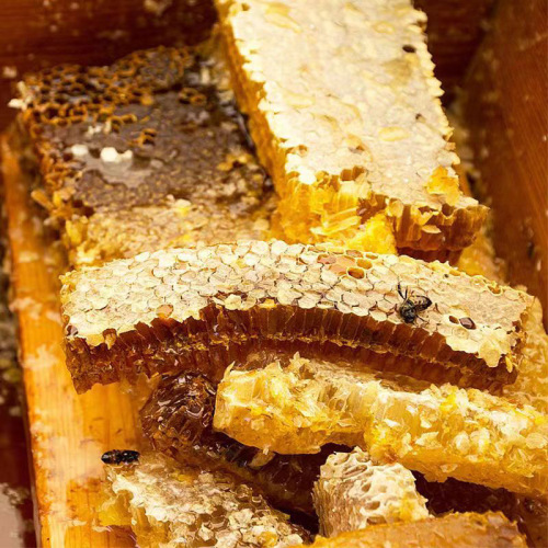 500g bottled crystallized acacia honey, lime tree honey, bulk honeycomb honey, wholesale Yunnan native honey