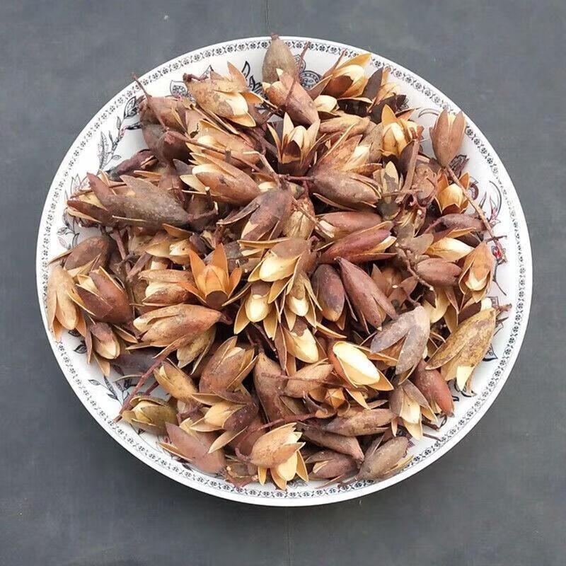 Toona Sinensis Seed Xiang Chun Zi Dried Chinese Herbal Seeds 500g Bulk specifications