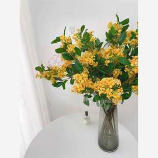 滨֦zӰҹٻSǧbܛb彁