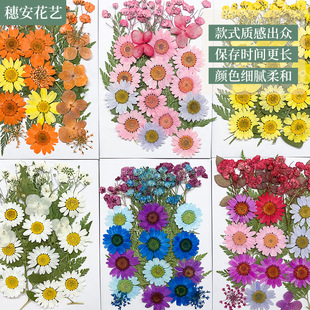 Carefully Selected Cross-Border Dried Flower Embossed DIY Material Package Mixed with Embossed Glue Mobile Phone Case Plant Bookmark Ins Large Flower Bag