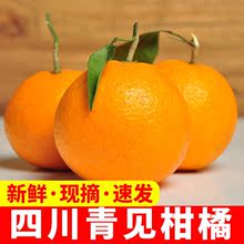 四川青见柑橘10斤 非丑橘耙耙柑沃柑果冻橙 桔子橘子3斤新鲜水果