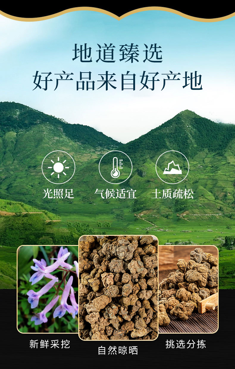 Xia Tian Wu (Corydalis decumbens) — Dried Rhizome Herb, Ground Powder Option, 500g overview