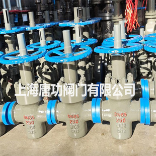 ʯ�ͻ���Z83Y-250C�䓸߉�����ƽ���l�y WCB��������עˮ�yDN100