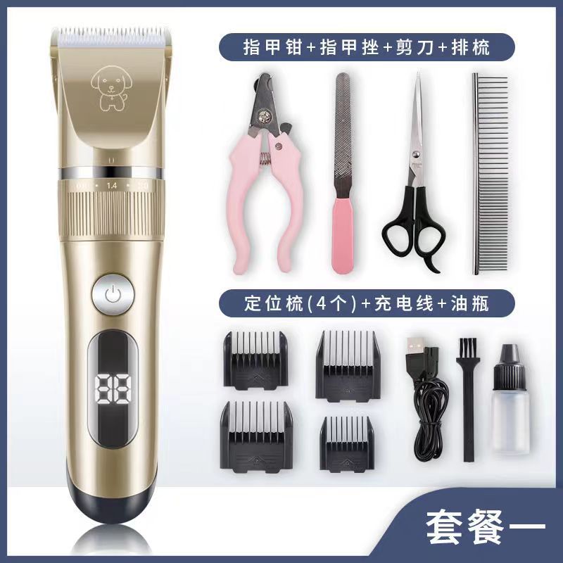 표준 + 미용 도구 (금)