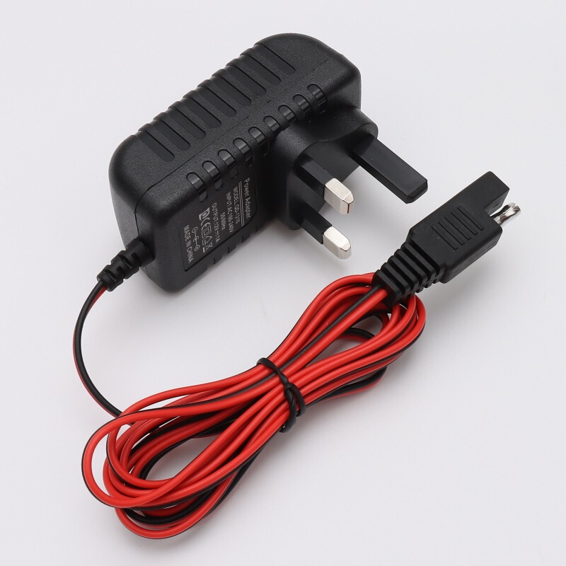6V UK standard 12V 24V ride-on car toy battery charger suitable for electric carriage power accessories 6V UK standard 12V 24V ride-on car toy battery charger suitable for electric carriage power accessories