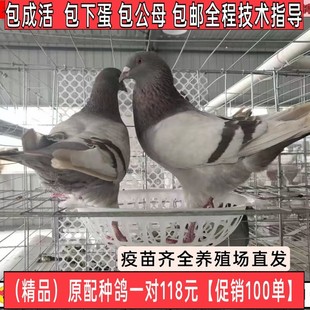 ���ӻ�һ���������y��ԭ��N������С���������������µ��������]