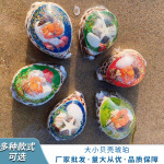 厂家批发 6.5-8厘米大号琥珀贝壳 地中海天然海螺螃蟹海星随机