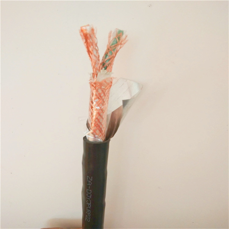 djypv计算机电缆  djypv电缆线DJYFFP2-22耐高温铠装电缆