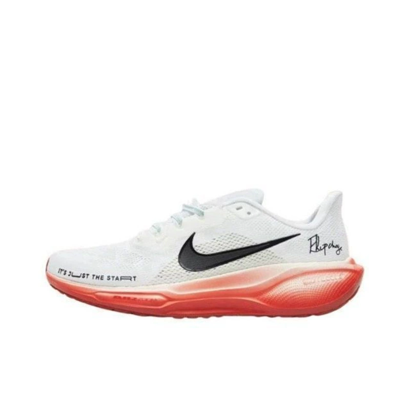 Putian Chunyuan Pegasus PEGASUS 41 Year of Snake Breathable Men and Women Sports Running Outdoor Moon Landing Zoom Air Cushion