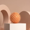 Hedgehog ball orange [OPP installation]