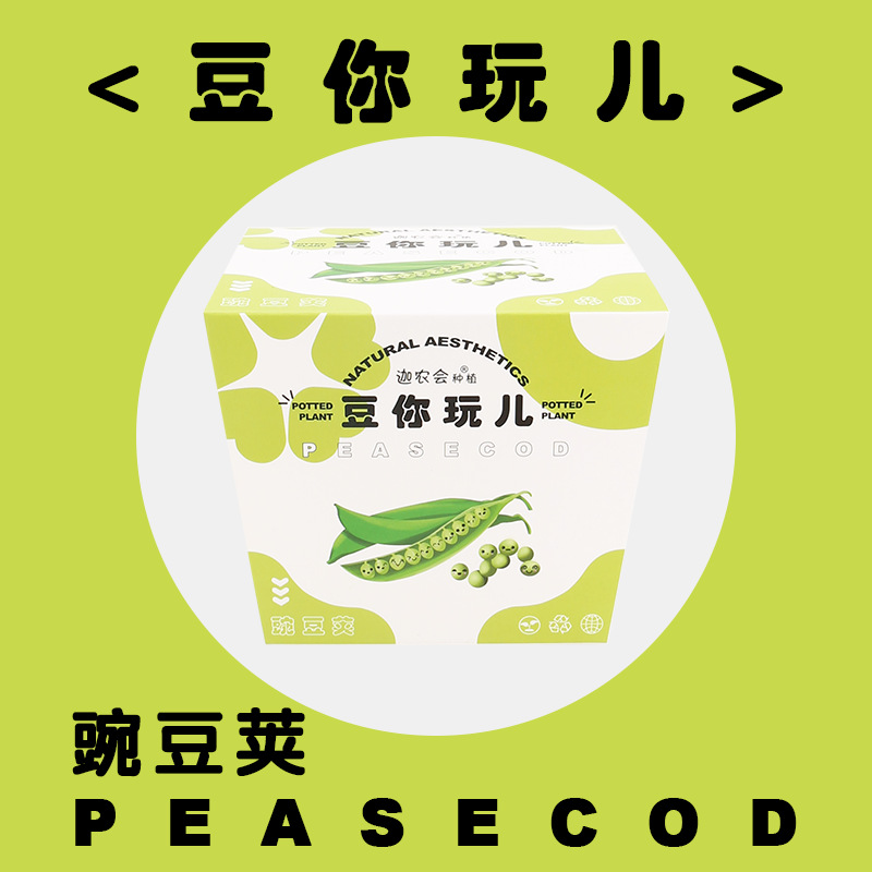 재생하는 콩 (완두콩 포드)