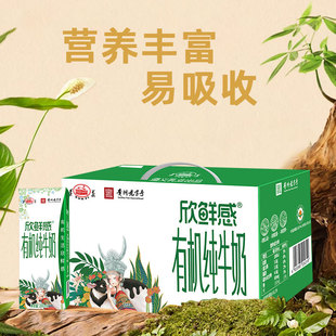 ���x���r���ЙC��ţ��200mlx10��/��W���I�B���������ȫ֬ţ��