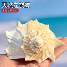 ��Ȼϡ�к��ݚ������� �~���쾰�b��к��Ҿ��ղؔ[���ͶY�Y��