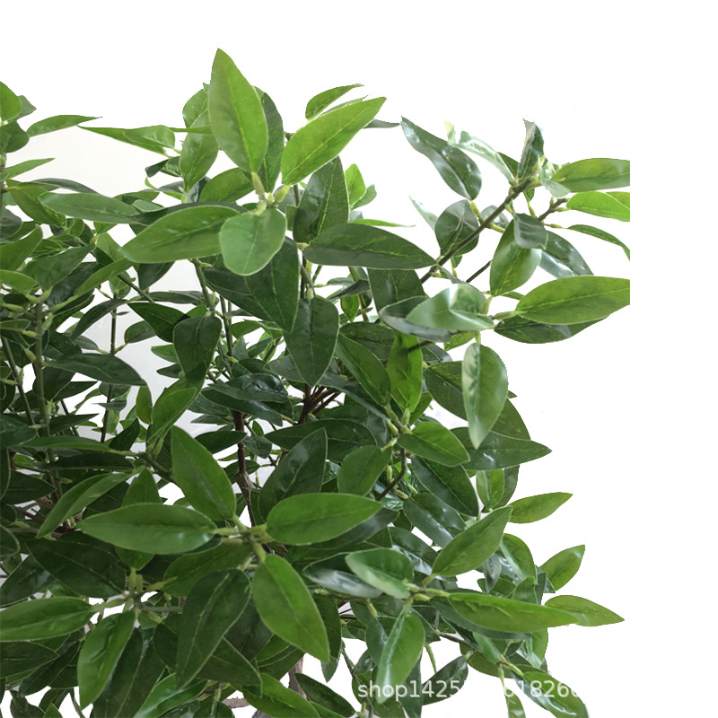 XRS-077 盆栽橄榄叶1.1米4.jpg