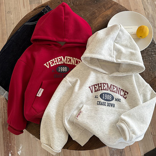 Spring fashionable long-sleeve for boys with hood, trend of season, children's clothing