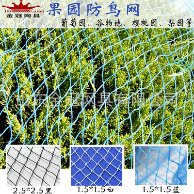 Orchards anti-bird netting grape Cherry Anti-bird netting Net brand new Polyethylene blue Anti-bird netting