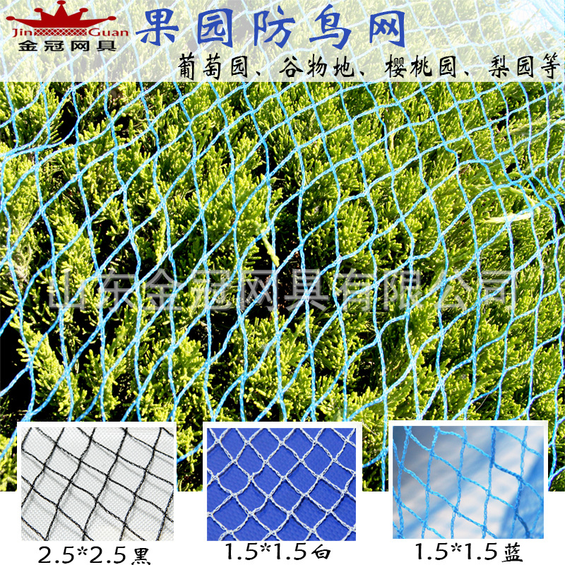 Orchards anti-bird netting grape Cherry Anti-bird netting Net brand new Polyethylene blue Anti-bird netting