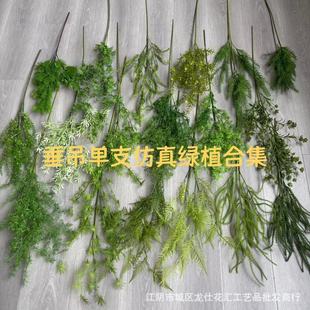 YܛbGֲϵд׆ֻɭϵҰɭϵzӰ