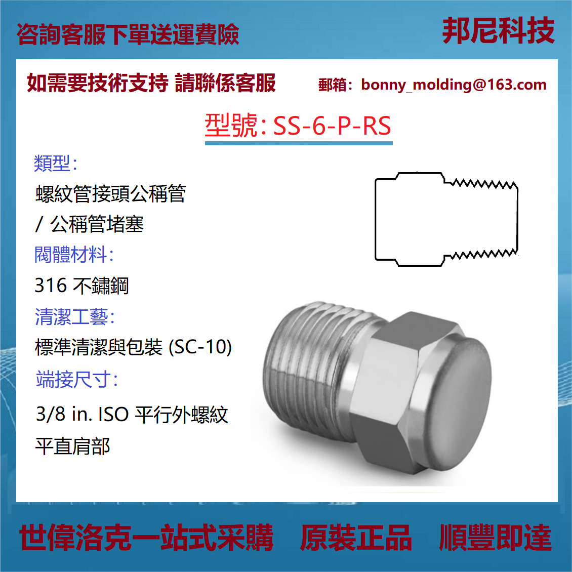SS-6-P-RS世伟洛克Swagelok公称管接头用管帽和堵塞