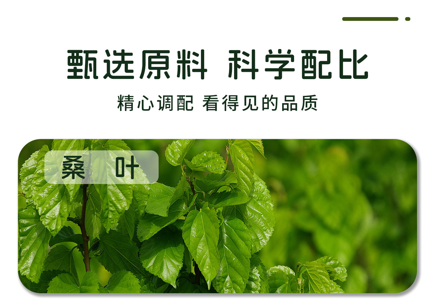 Mulberry Leaf Double Melon Cake Sang Ye Shuang Gua Gao 100g Jar Handmade Sweet Snack No Sucrose Added overview