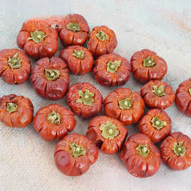 万圣节小南瓜干花巴西进口天然植物圣诞节日装扮干果实家居装饰