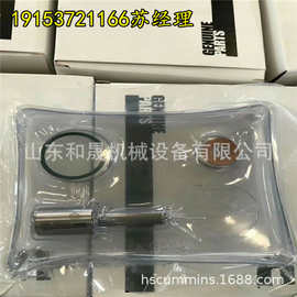 K19-G4喷油器3022197-20 康明斯油嘴 发动机配件供应
