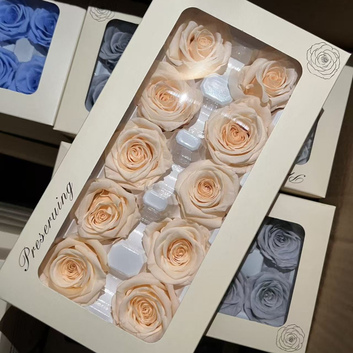 Rosa Preservada B+ de 3-4 cm, Ramo de Flores Reales para DIY, Fabricante de Yunnan, Venta al por Mayor, Material Floral para el Día de San Valentín, Flores Secas 520