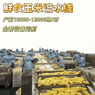水果玉米真空包装生产线 大型软包装玉米加工设备 鲜食玉米清洗机
